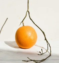 pic-42.jpg