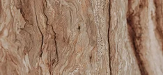 pic-43.jpg