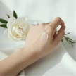 427b559f-706b-4dc4-8684-bcae9a2d862b-rectangle37(4).png